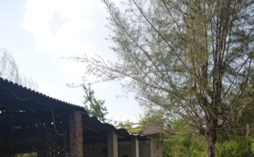 चोरों ने खाॅल के बालाजी भोजनालय के बर्तन भंडार को बनाया निशाना, एल्युमिनियम के 17 भगोना, 8 बड़ी परात, घमले हुए चोरी